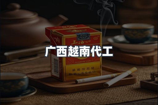 广西越南代工